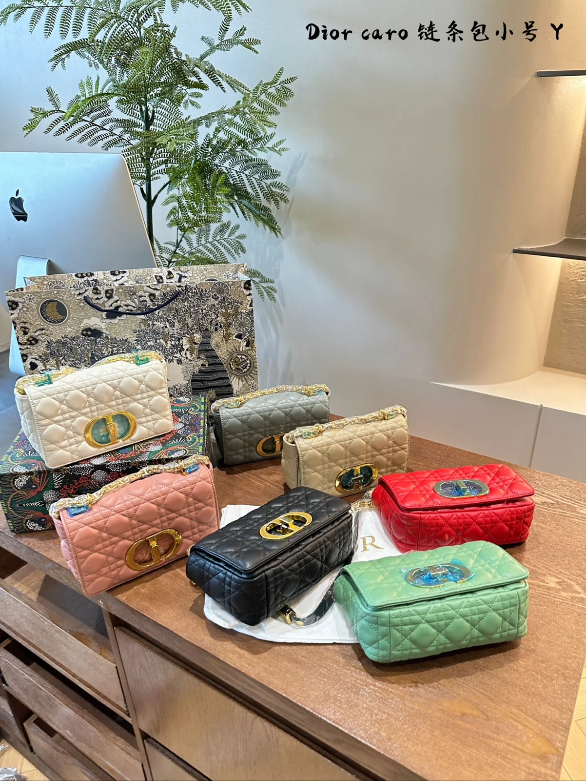 Dior Bag