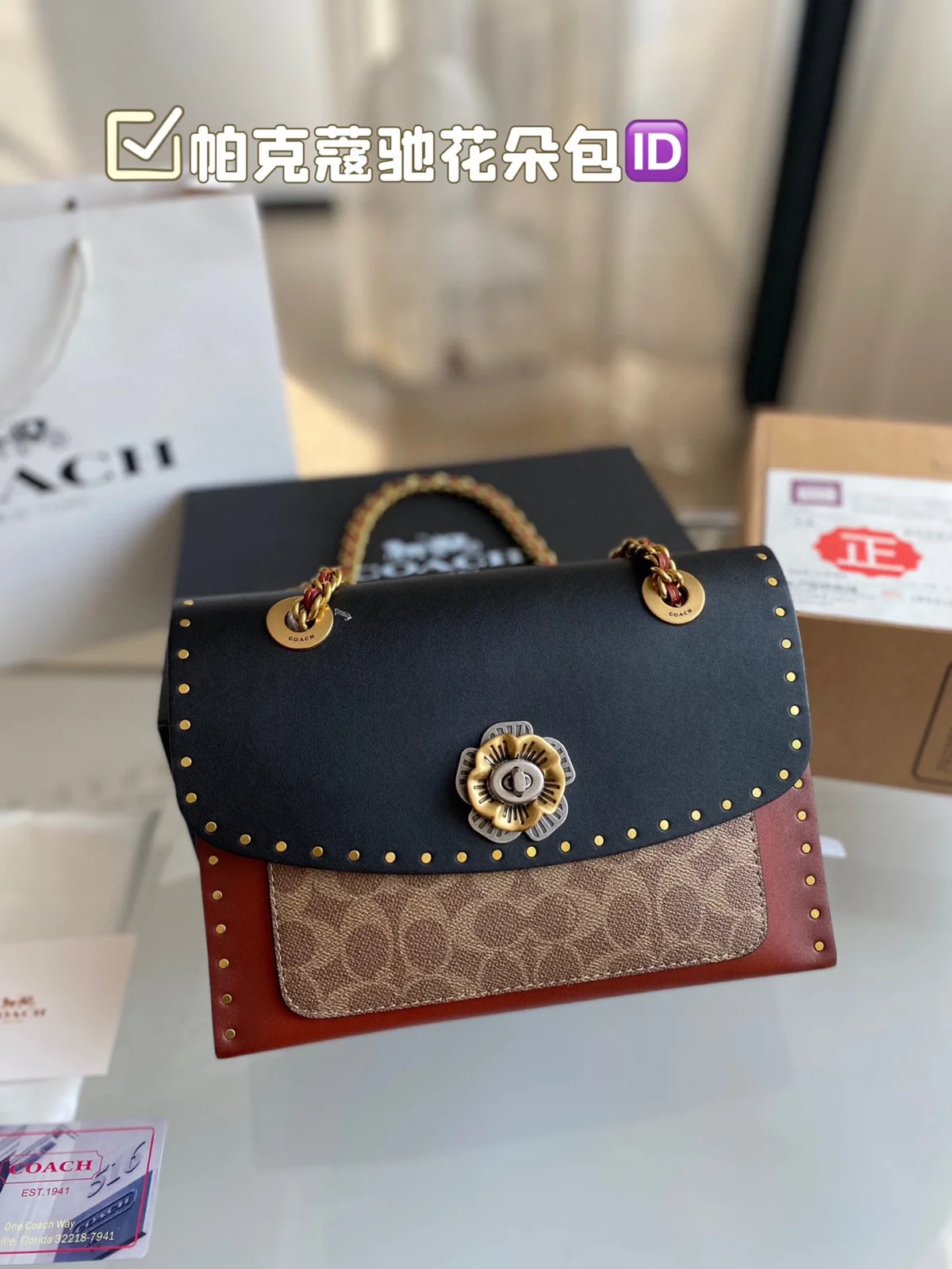 COACH Bag