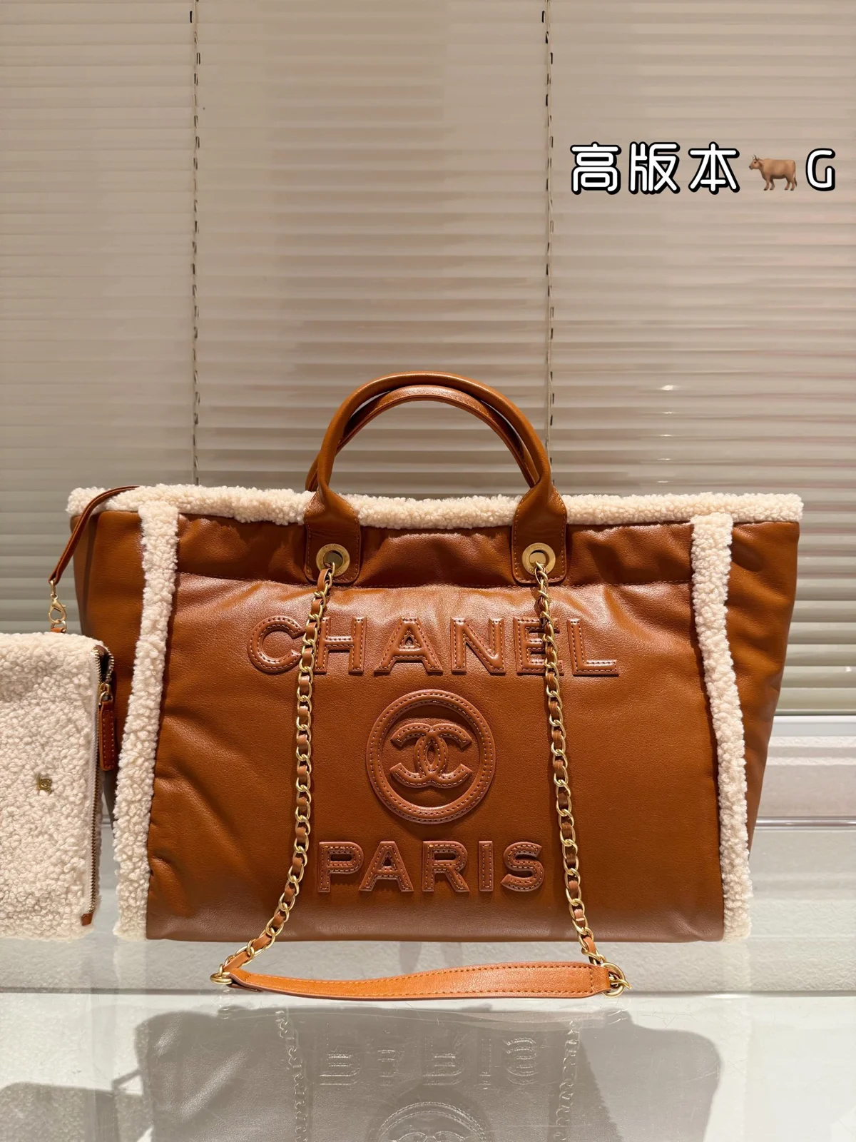 Chanel Bag