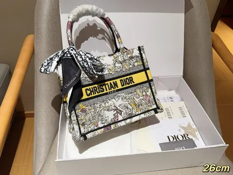 Dior Book Tote