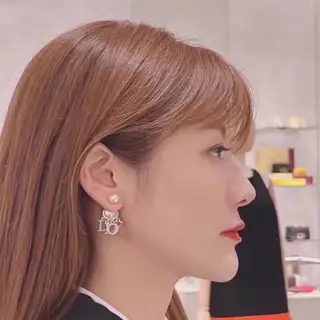 Dior New DIOR stud earrings