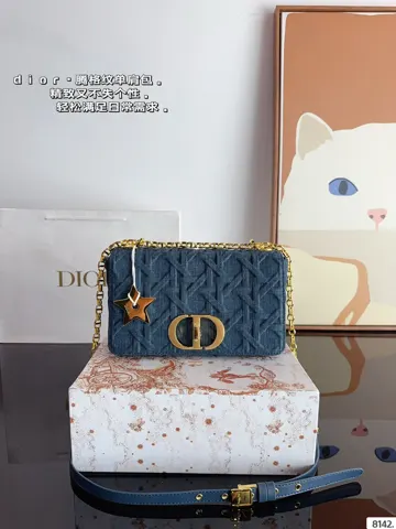 Dior Bag