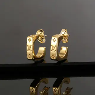 Louis Vuitton earrings