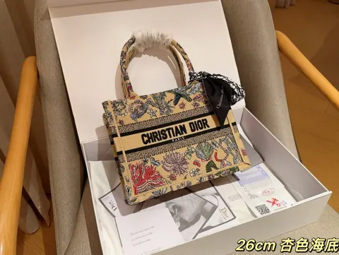 Dior Book Tote