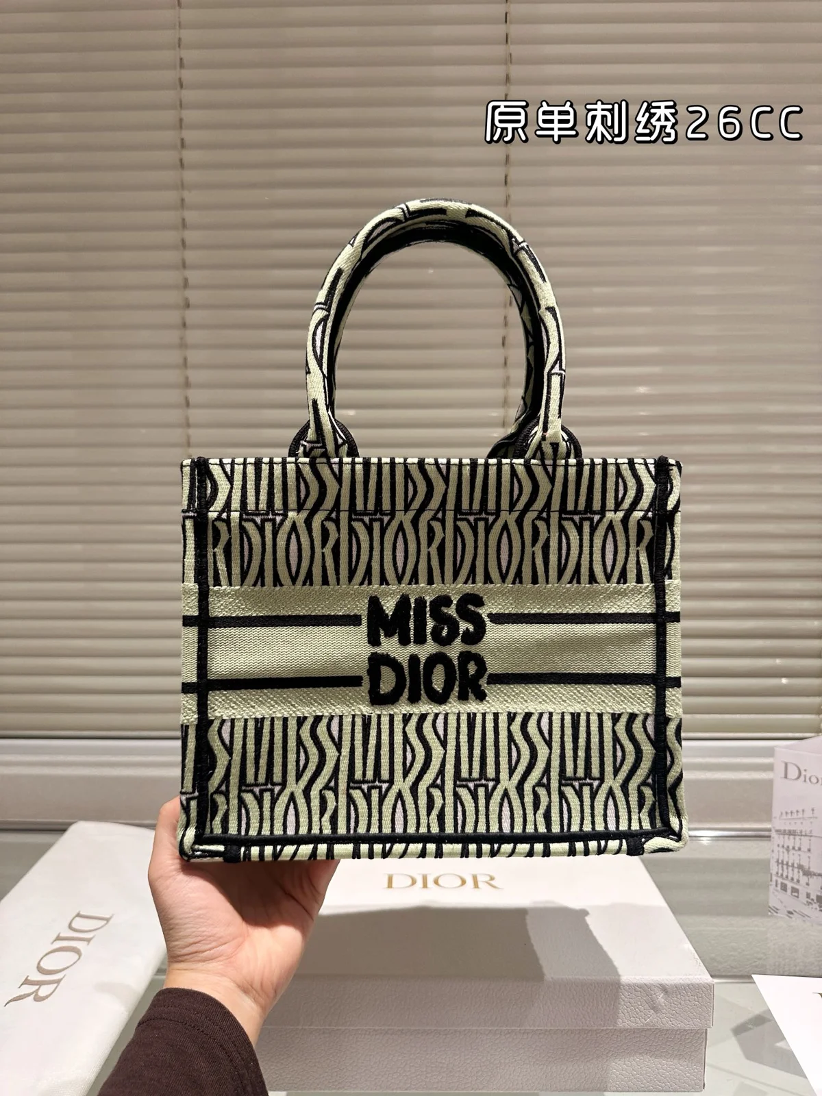 Dior Book Tote