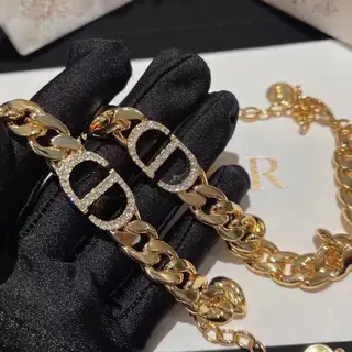 Dior counter CD earrings Dior This year