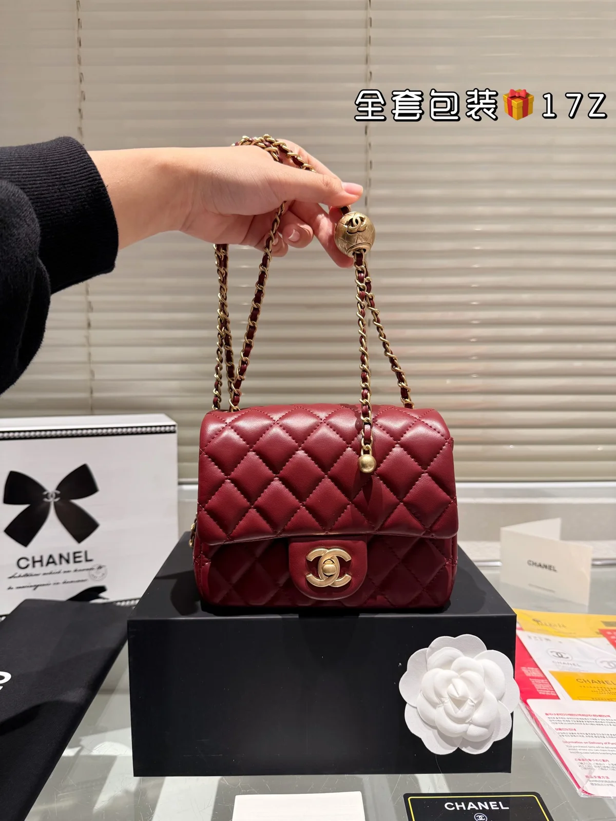 Chanel Bag
