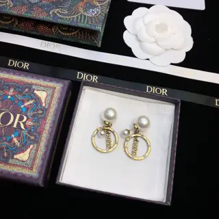 Dior 2021 early spring new product circle CD earrings
