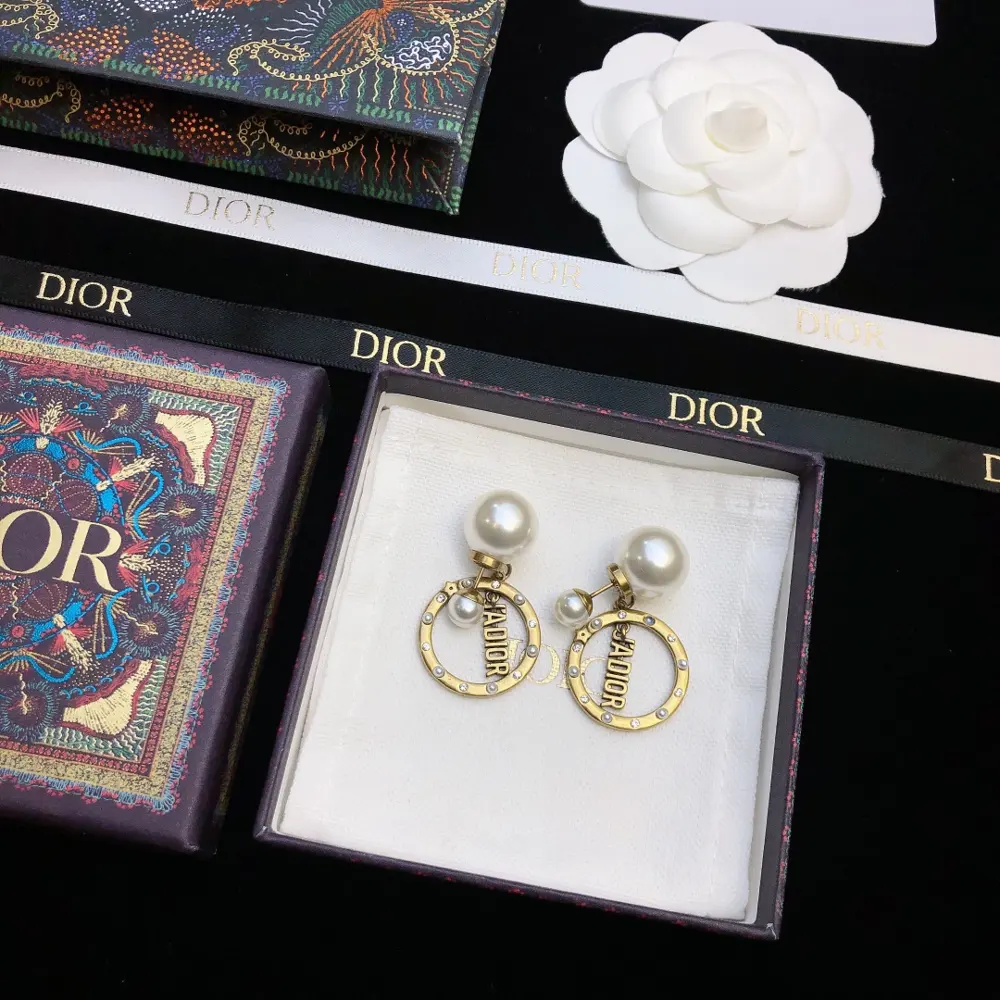 Dior 2021 early spring new product circle CD earrings