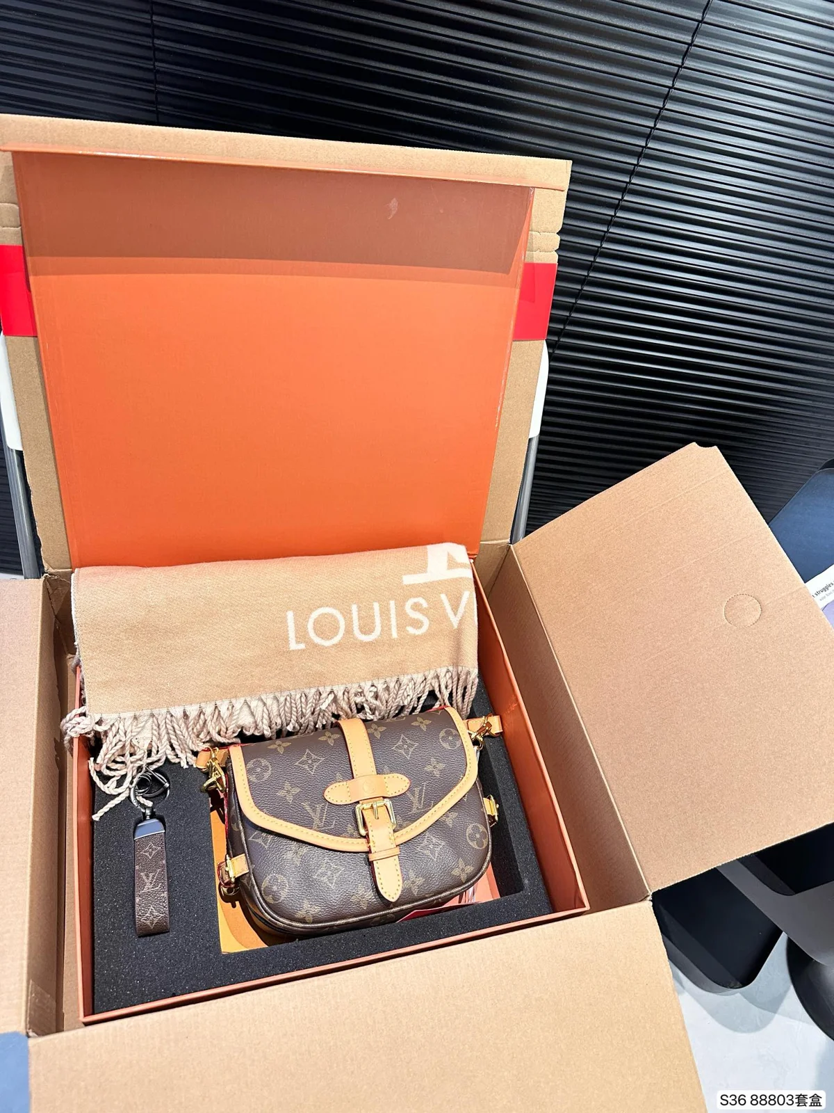 Louis Vuitton Bag