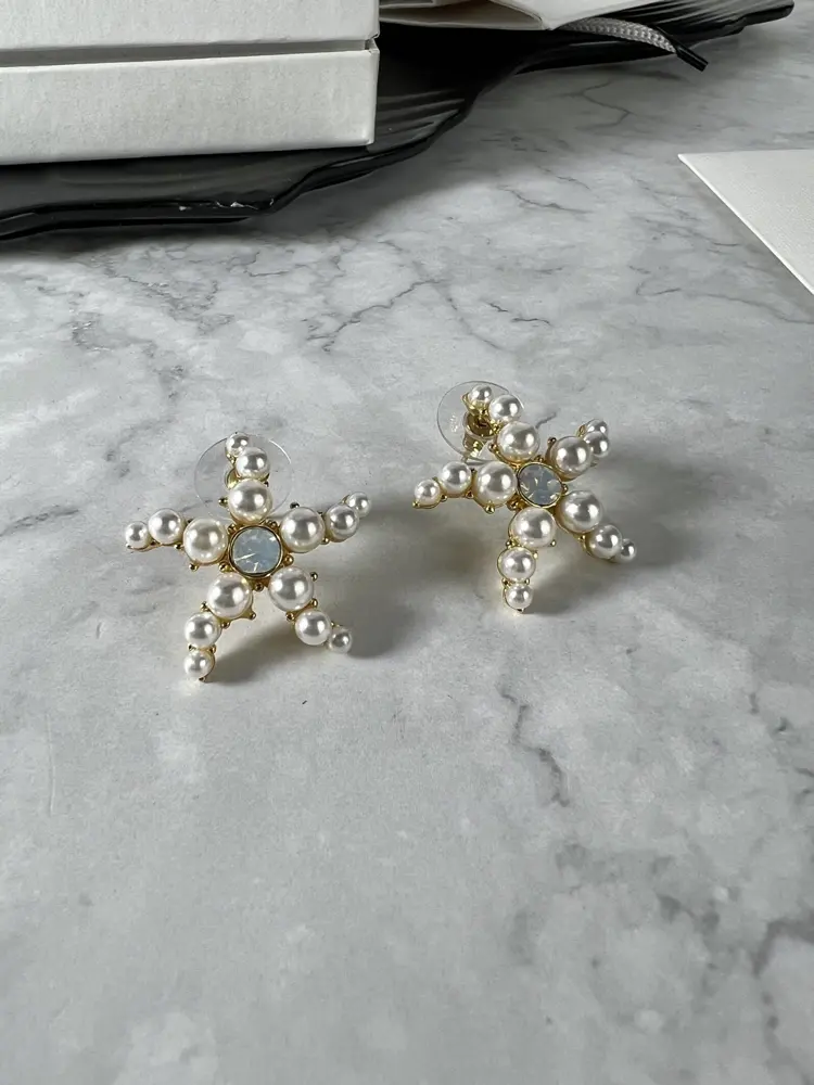 Celine earrings