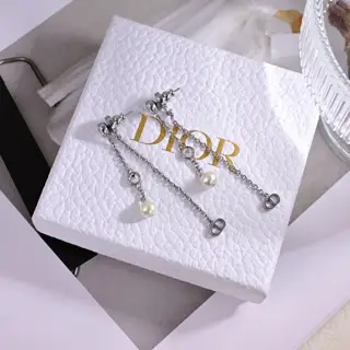Dior 2024 new style Dior