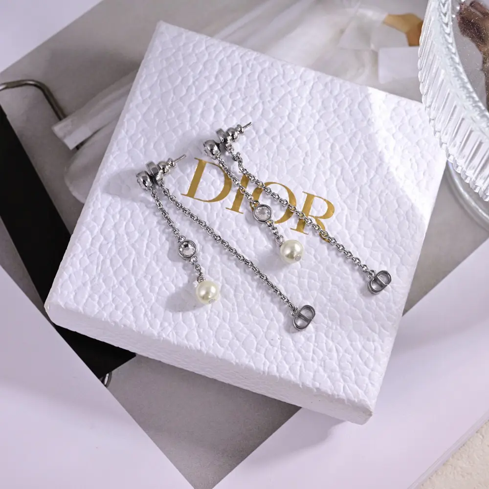 Dior 2024 new style Dior