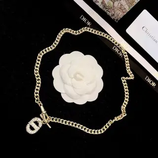 Dior necklace new model Beautiful Simple and elegant Fashionable Low-key luxury Fashionable