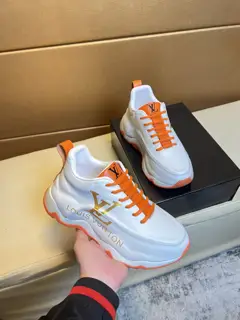 Louis Vuitton sports shoes
