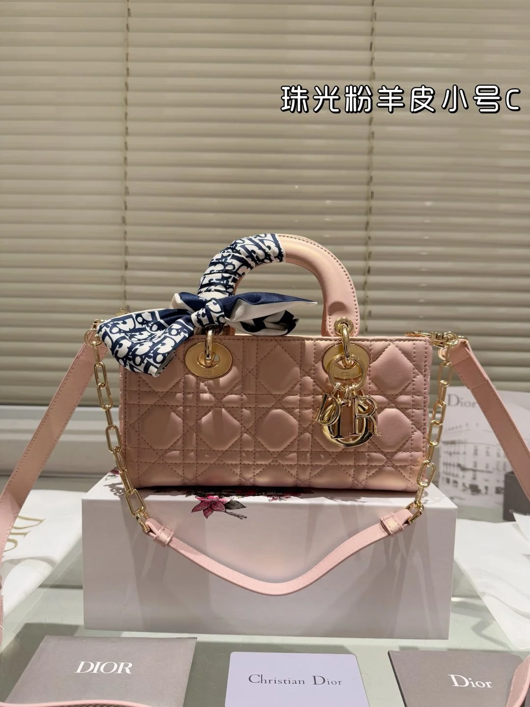 Dior Bag