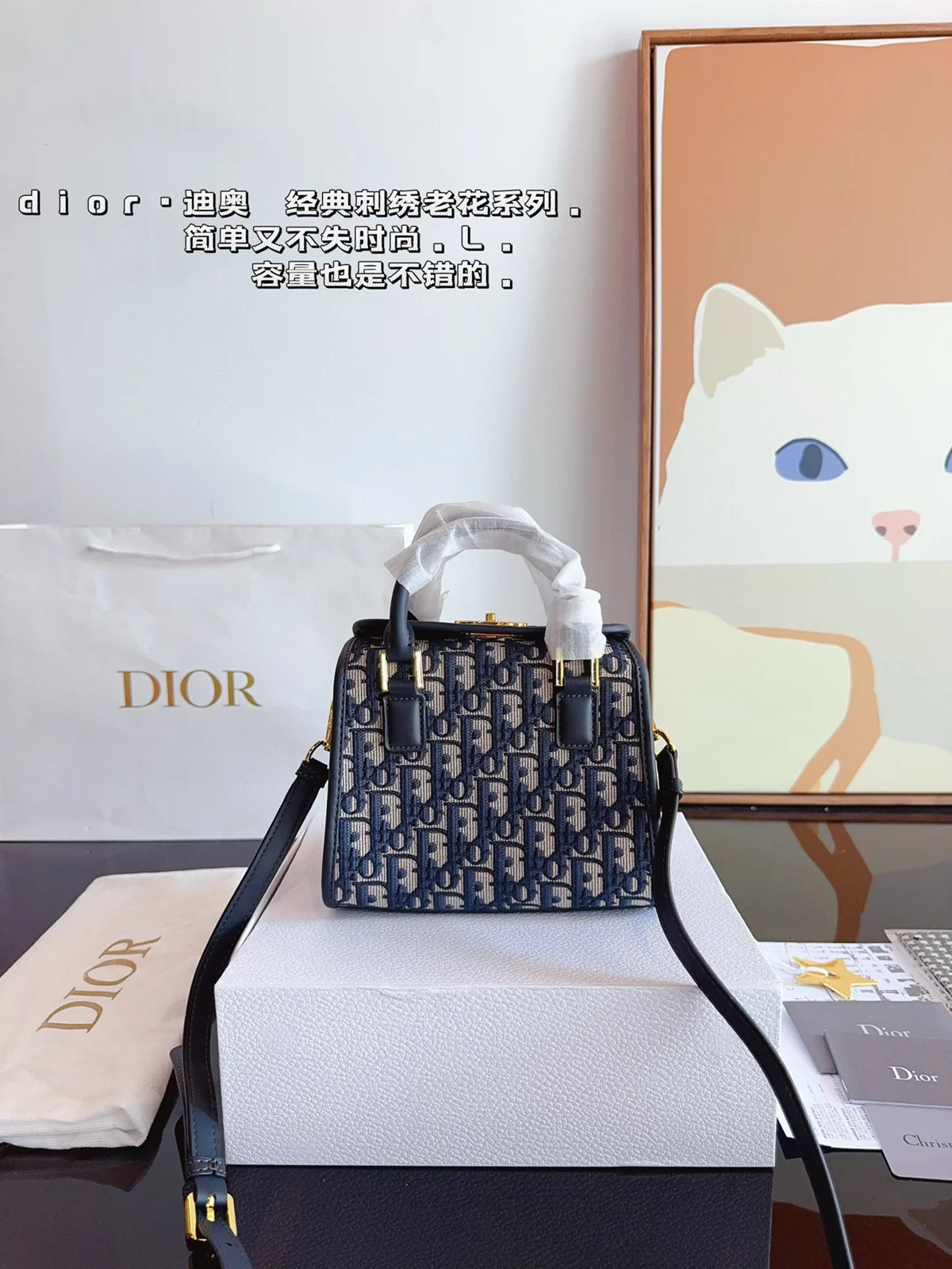 Dior Shoulder Bag