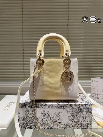Dior Bag