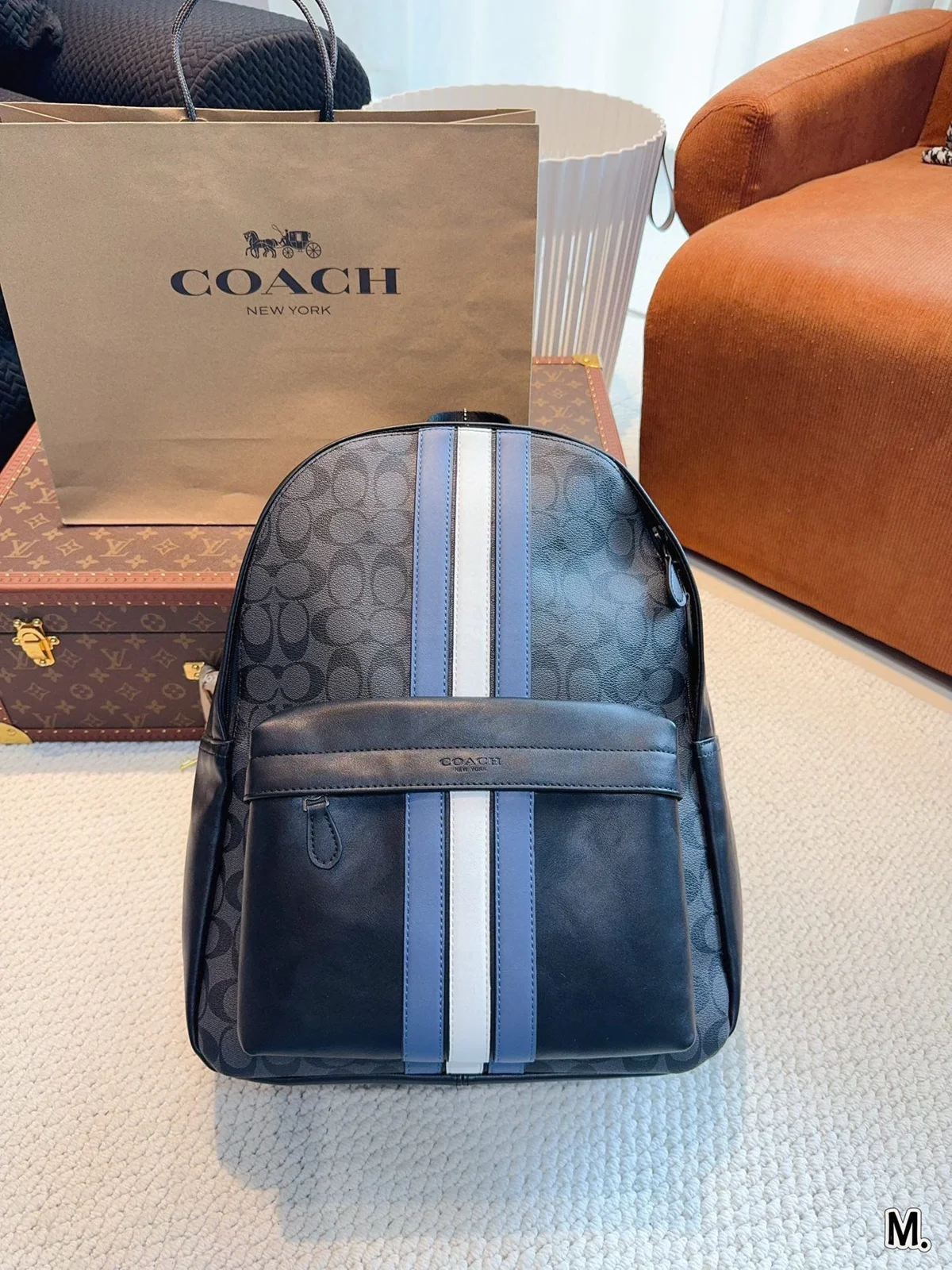 COACH Backpack