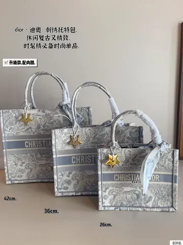 Dior Book Tote