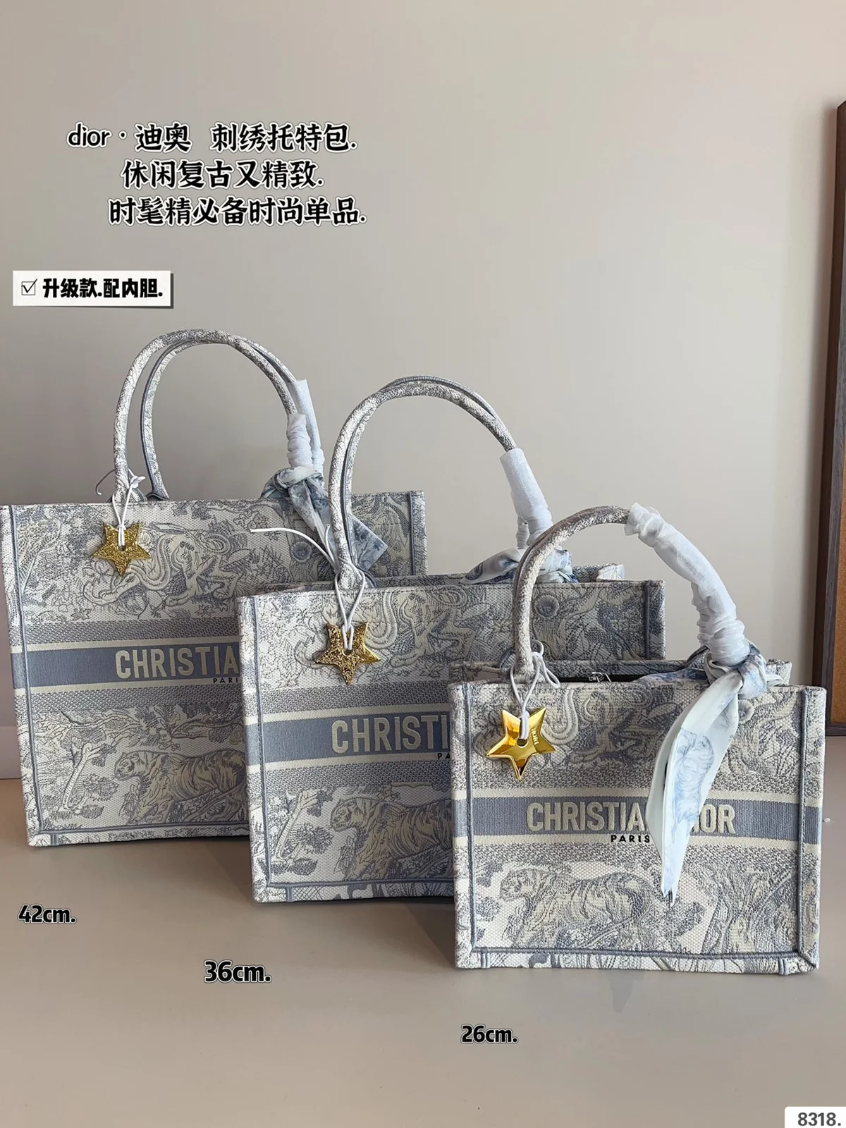 Dior Book Tote
