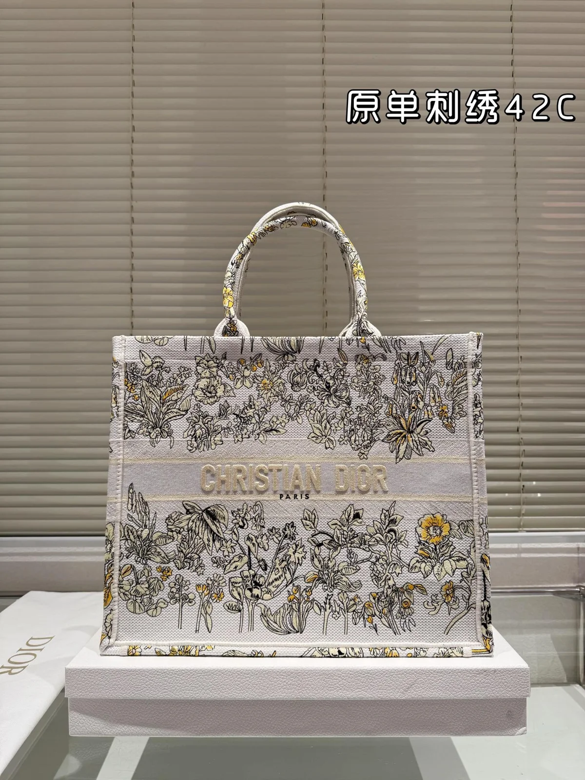 Dior Book Tote