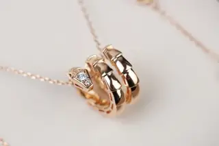 Bvlgari’s new double-circle snake necklace A modern interpretation of classic charm The