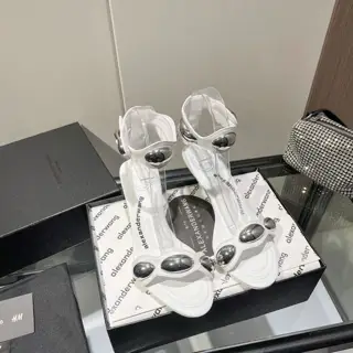 Da Wang 2023 new model