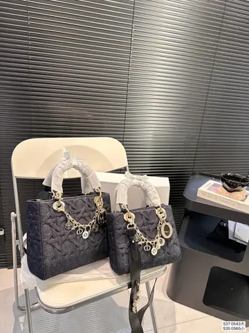 Dior Bag