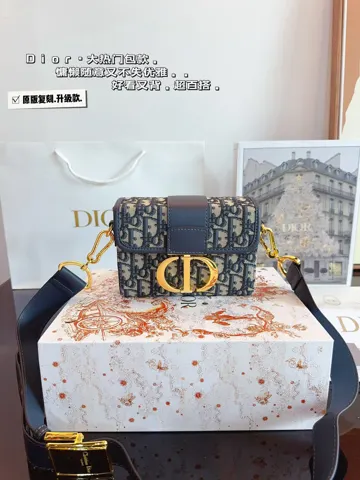 Dior Bag
