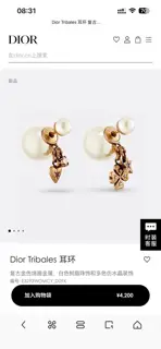 Dior new style Dior new letter earrings loved by all the top brands. The metal texture