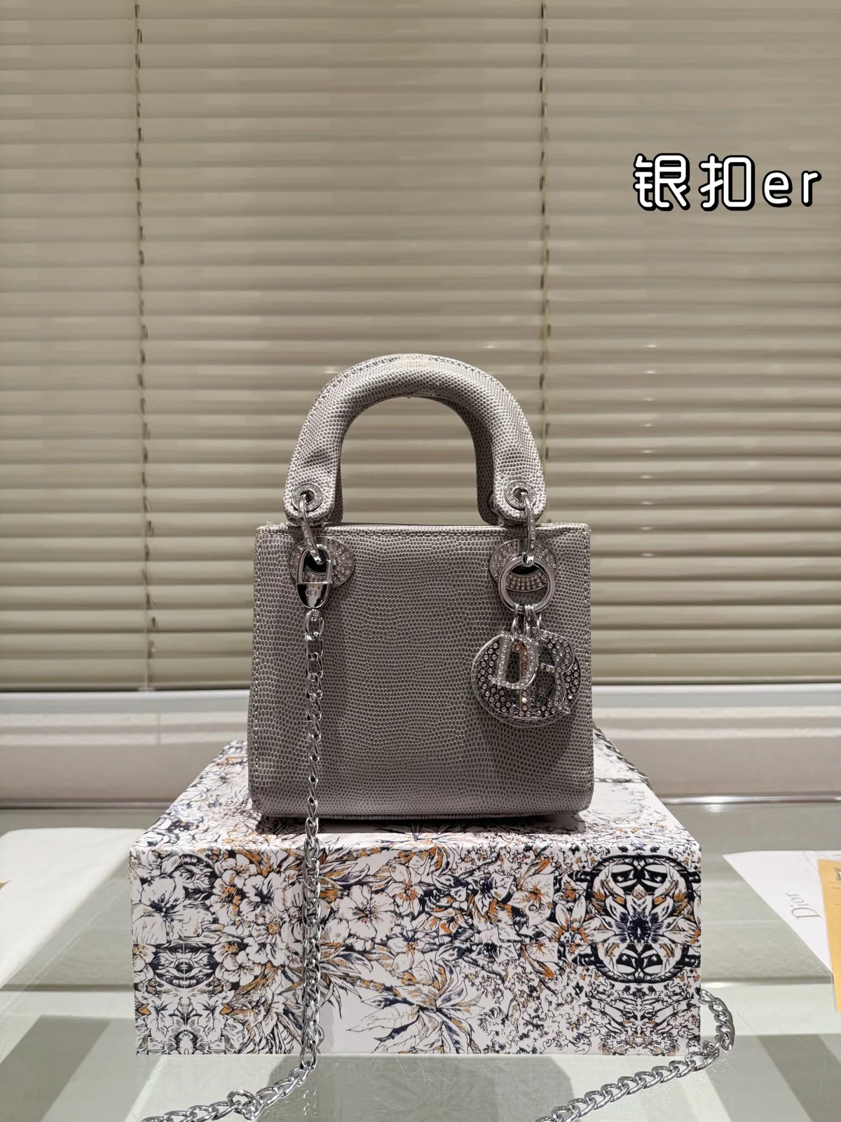 Dior Bag