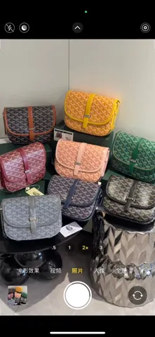 Goyard Saddle