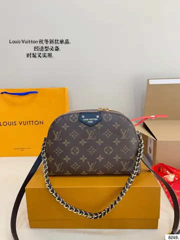 Louis Vuitton Bag