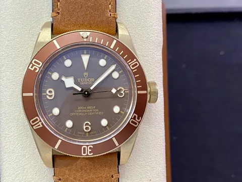 Tudor Watch