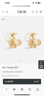 Dior new style Dior new letter earrings loved by top brands. The metal texture