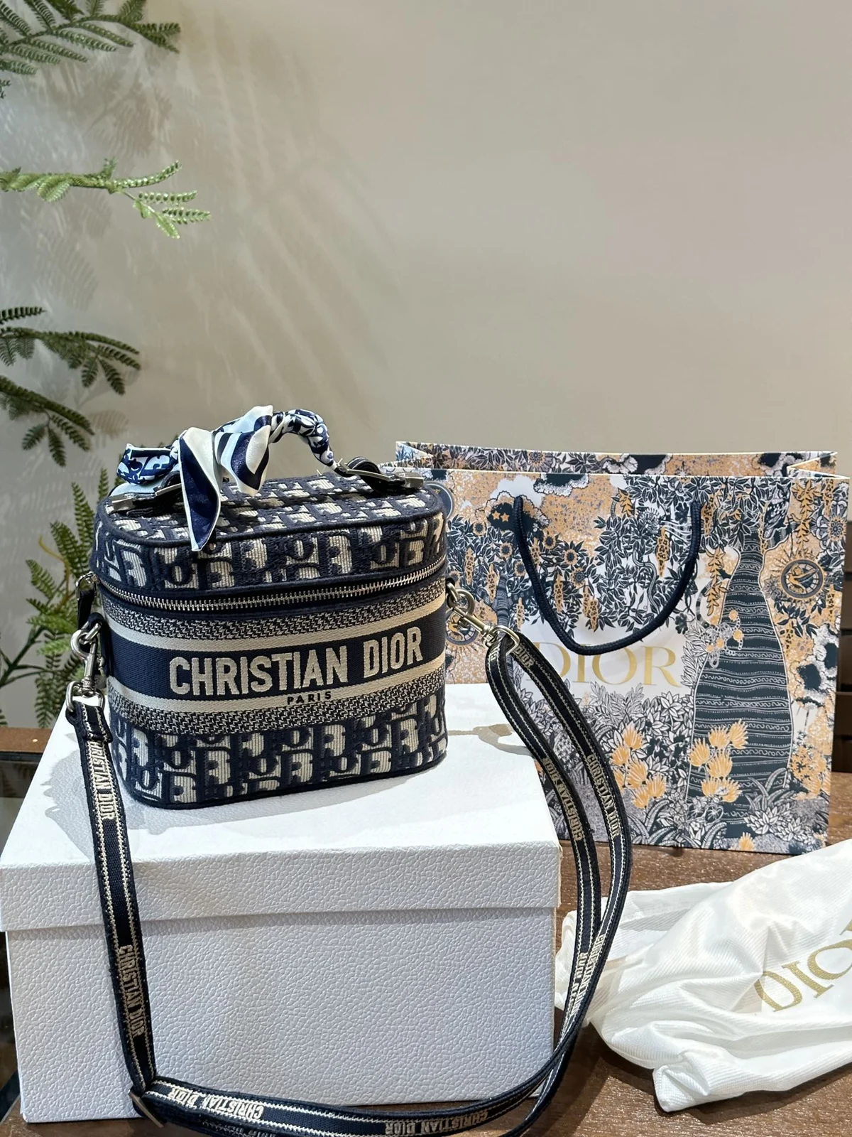 Dior Bag