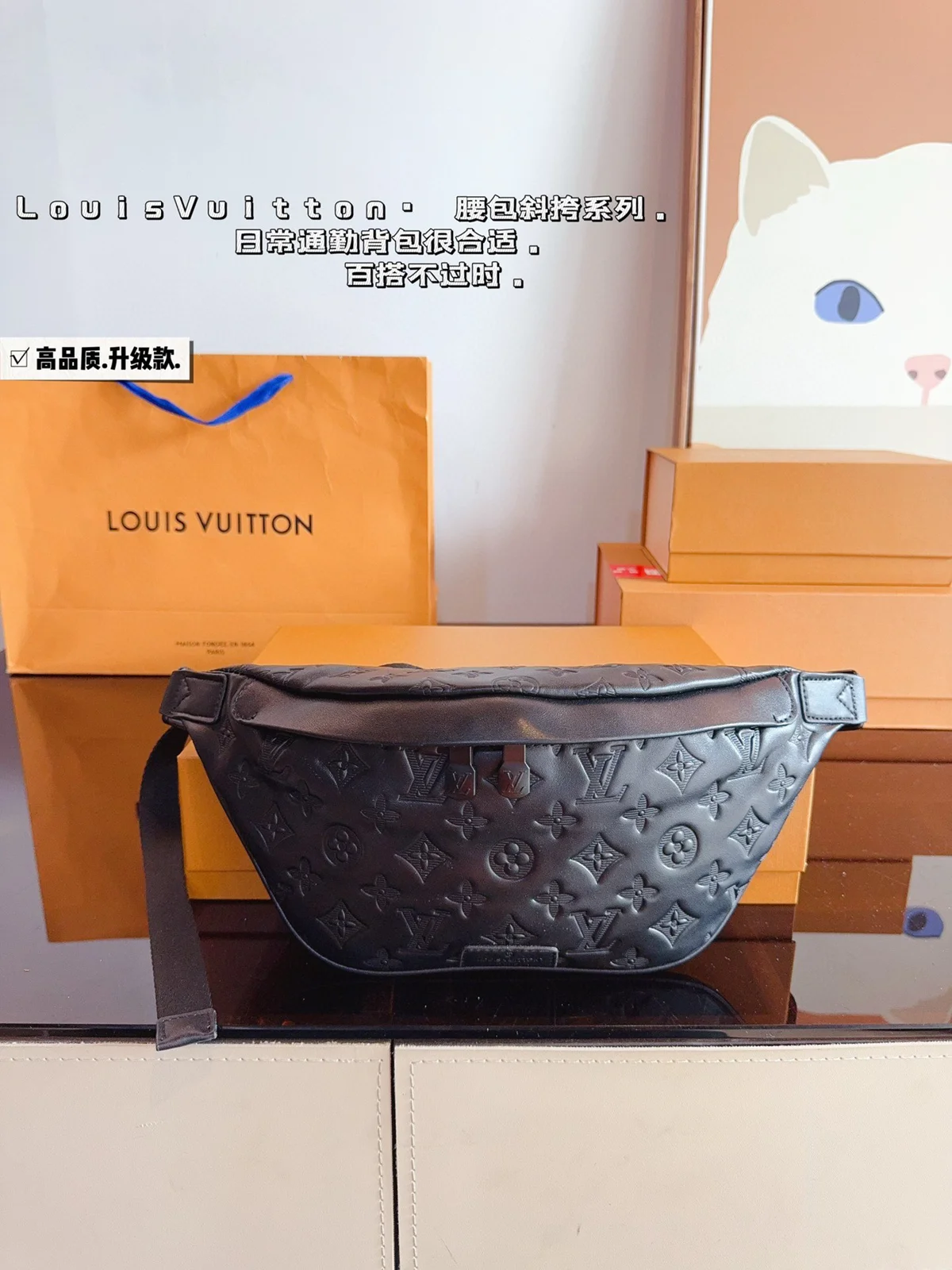 Louis Vuitton Bag