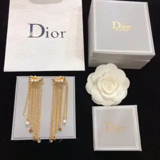 Dior autumn and winter new products