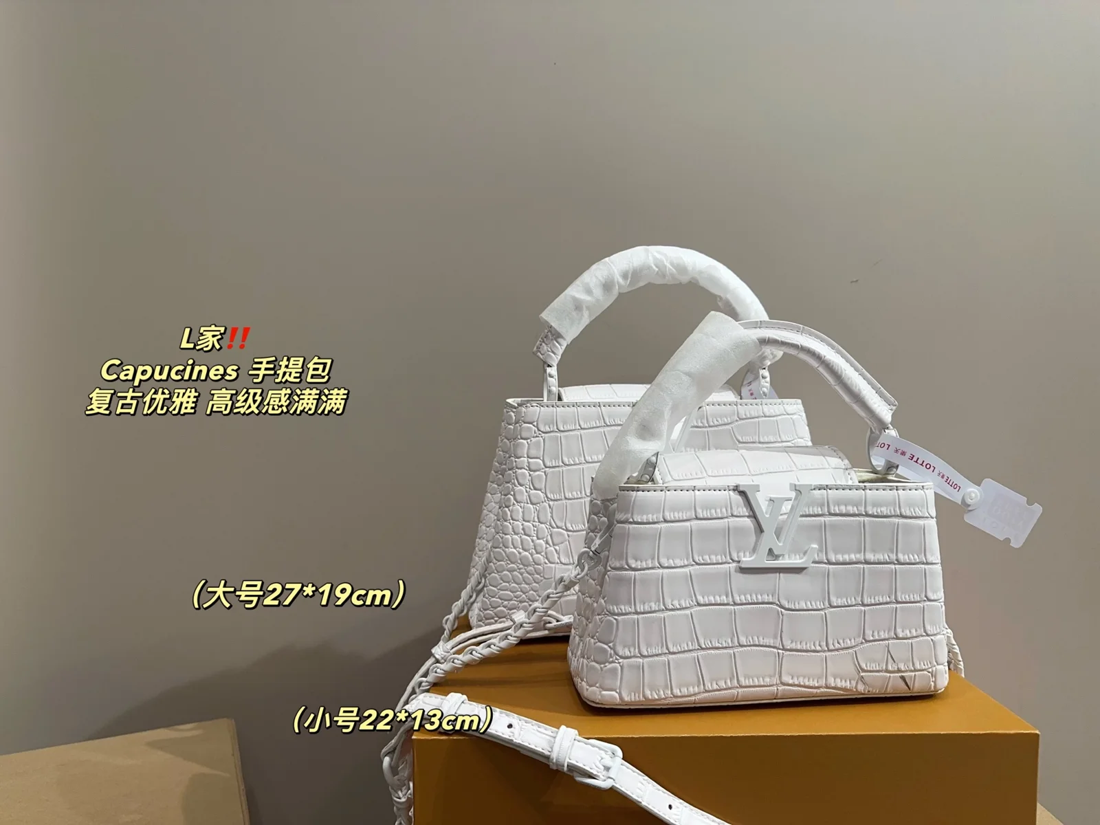 Louis Vuitton Capucines