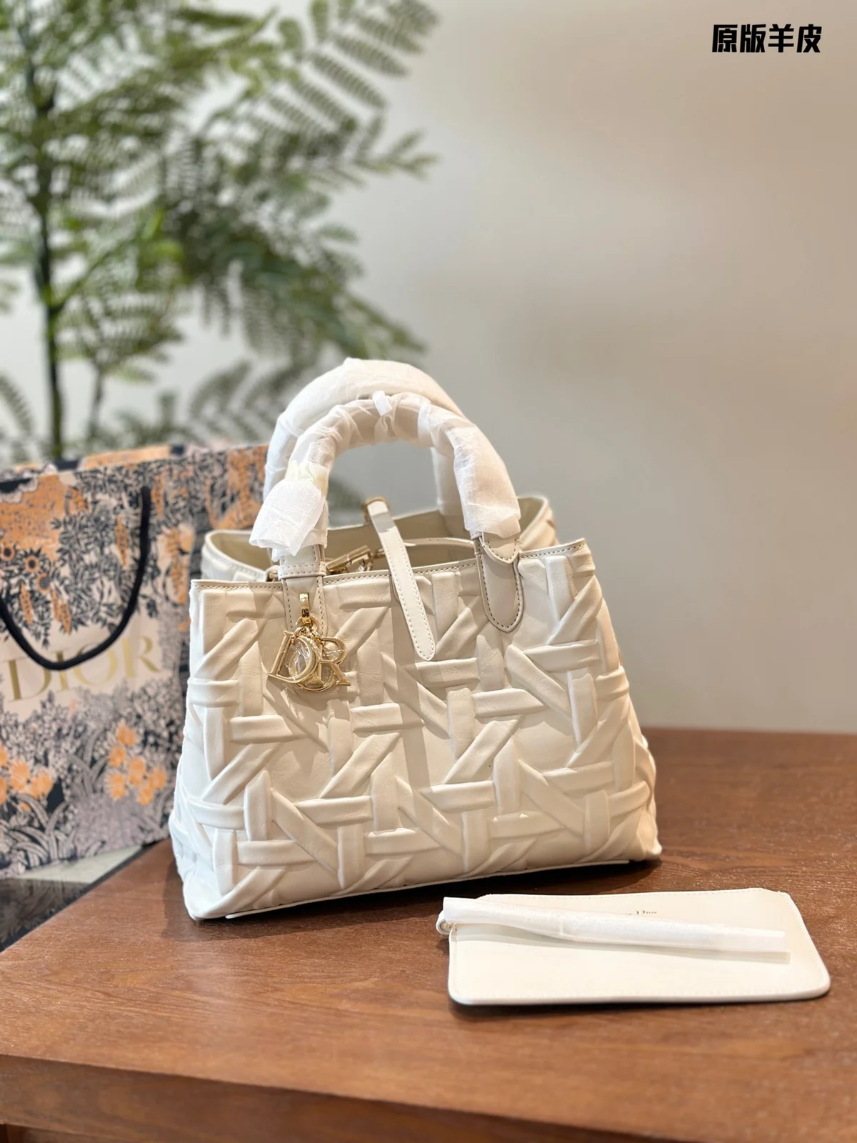 Dior Bag
