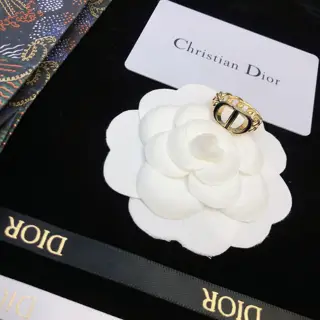 Dior CD earrings