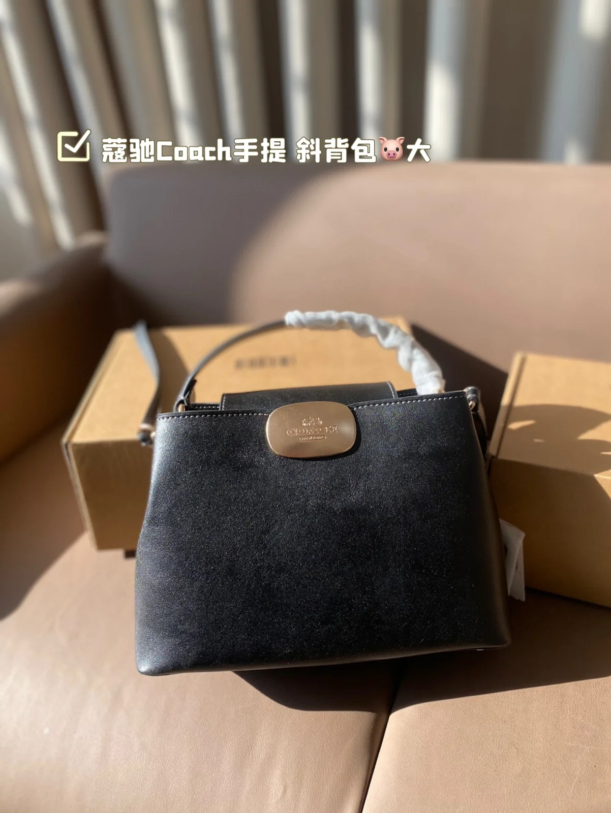 COACH Shoulder Bag