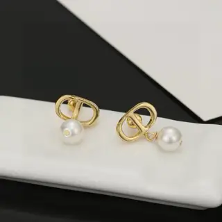 Latest Dior hot items
