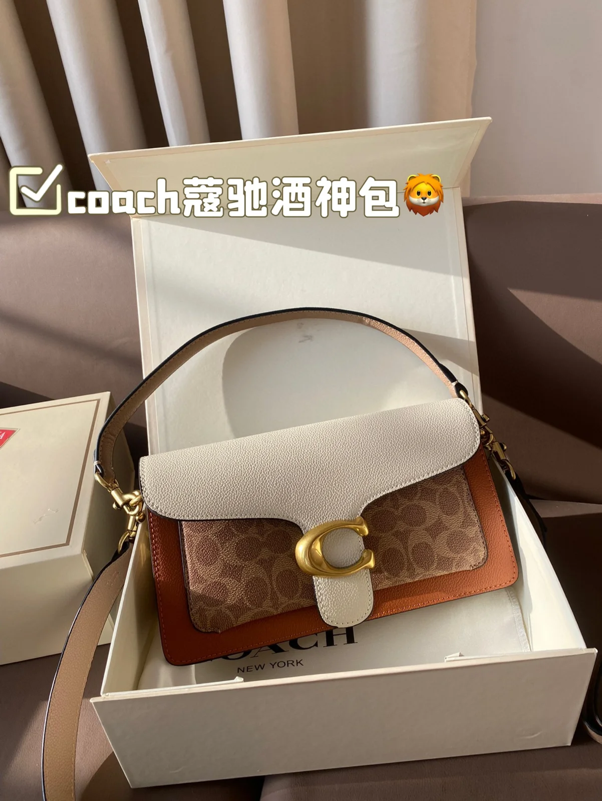 COACH Dionysus