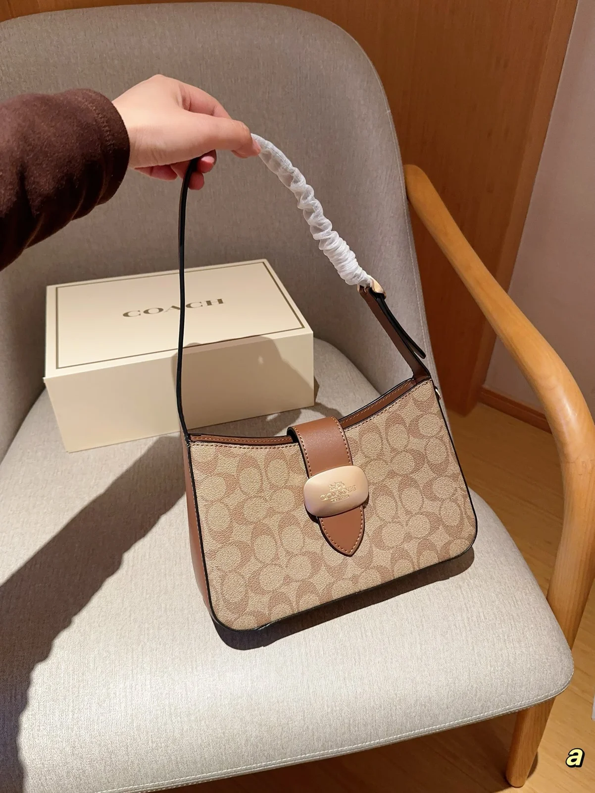 COACH Crossbody